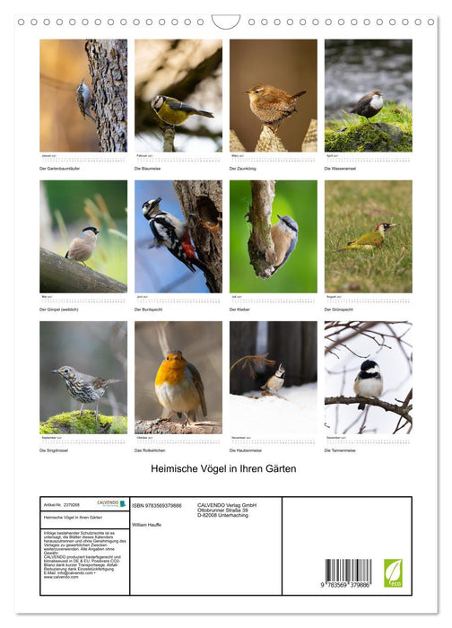 Heimische Vögel in Ihren Gärten (CALVENDO Wandkalender 2027)