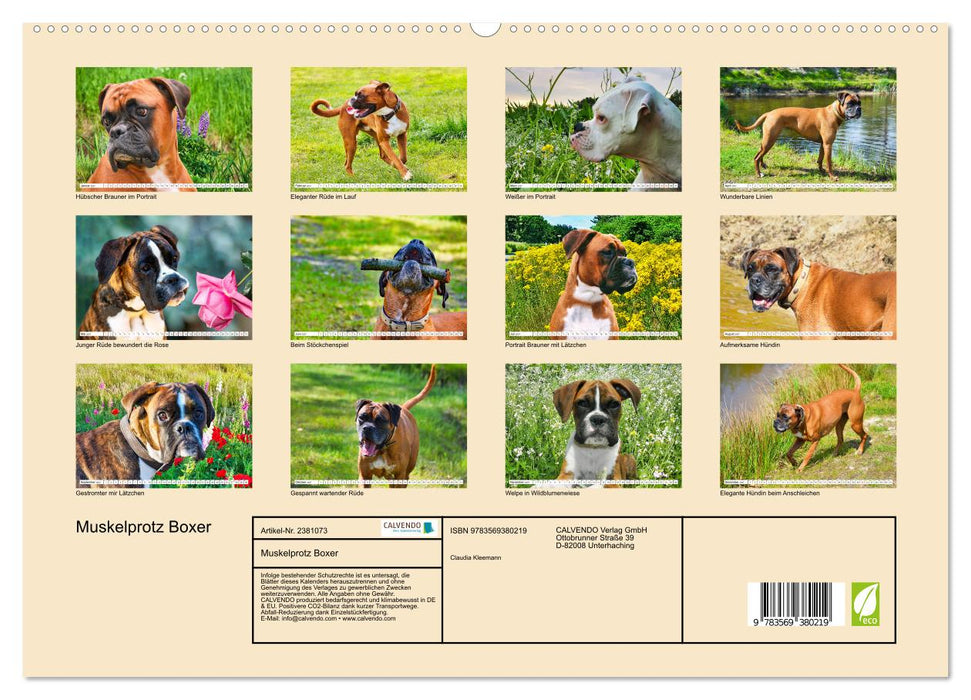 Muskelprotz Boxer (CALVENDO Premium Wandkalender 2027)