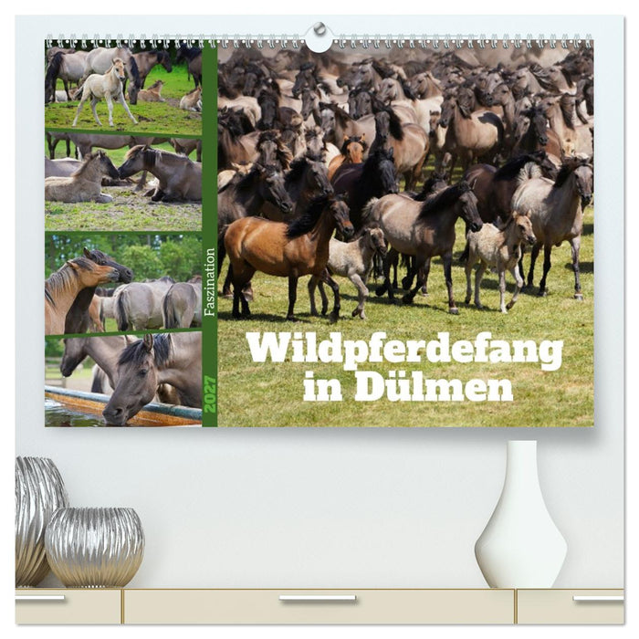 Faszination Wildpferdefang in Dülmen (CALVENDO Premium Wandkalender 2027)