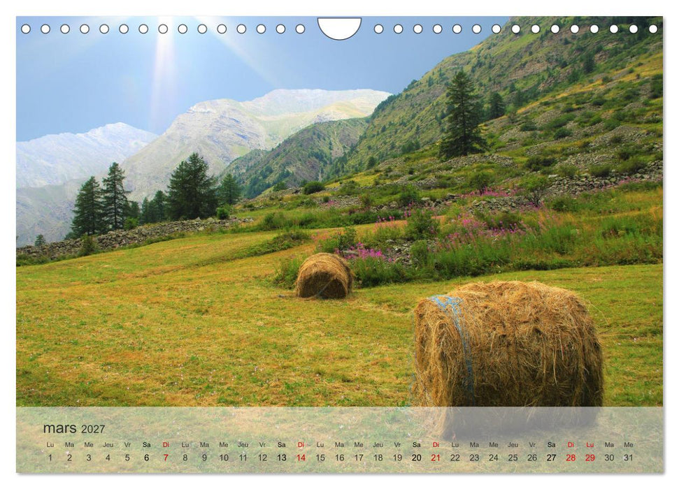 Echappée alpine (CALVENDO Calendrier mensuel 2027)