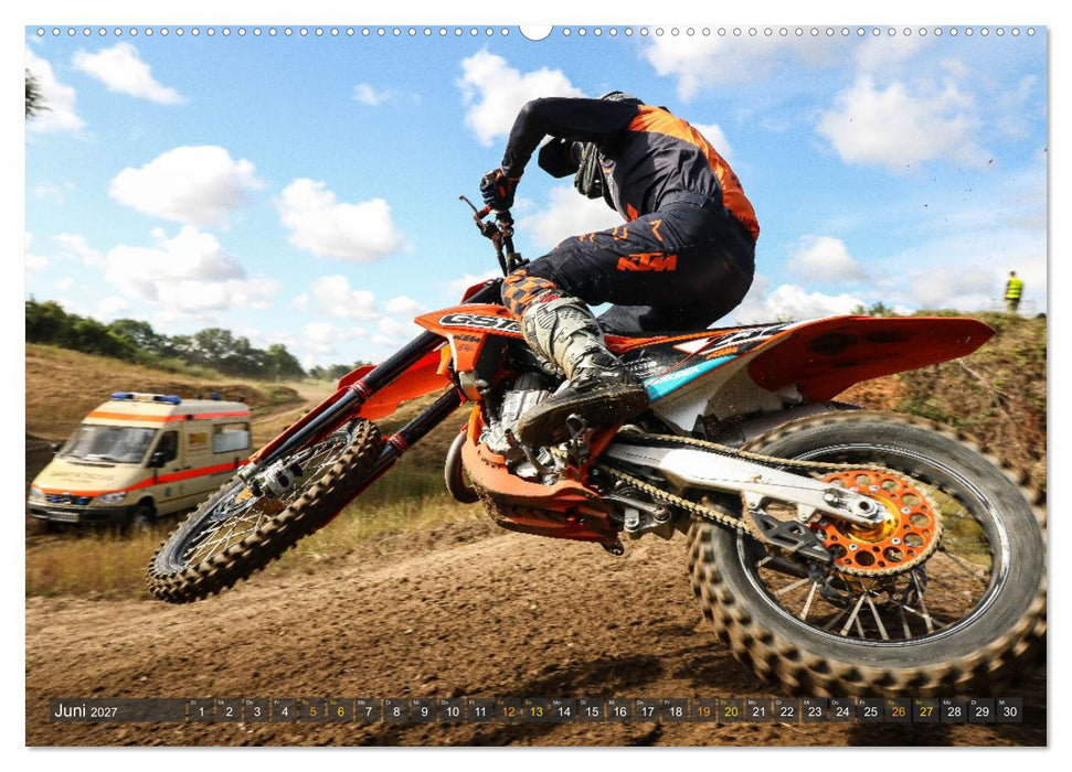 whip`s and scrub`s 2027 (CALVENDO Premium Wandkalender 2027)