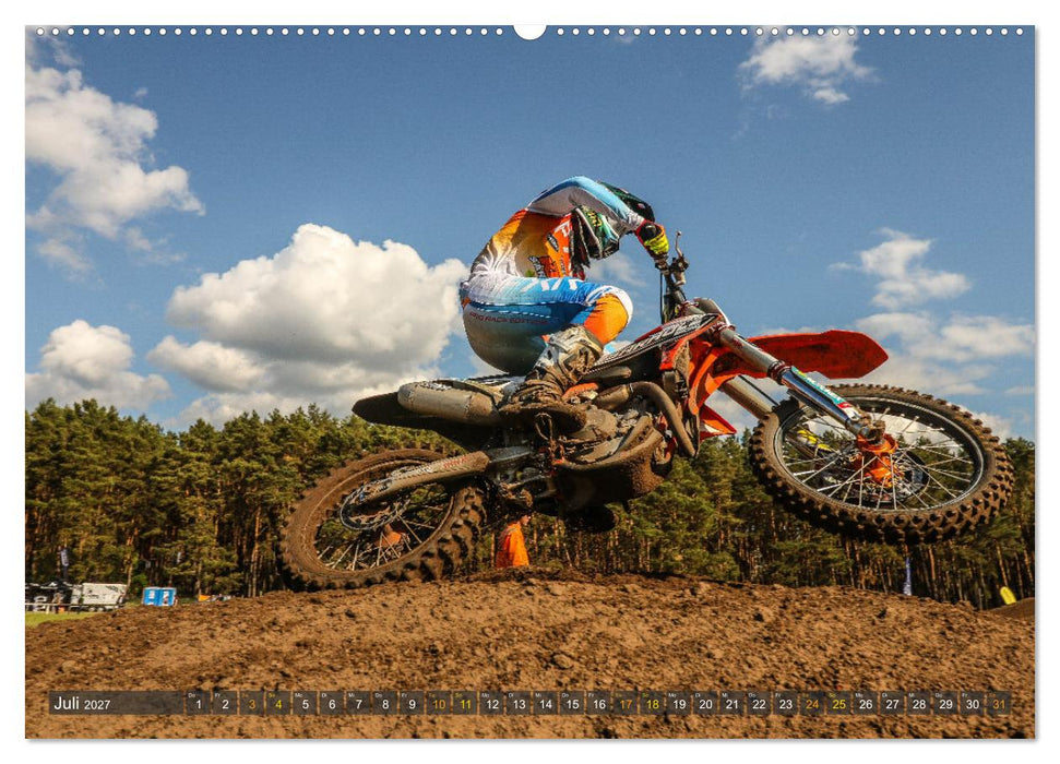 whip`s and scrub`s 2027 (CALVENDO Premium Wandkalender 2027)