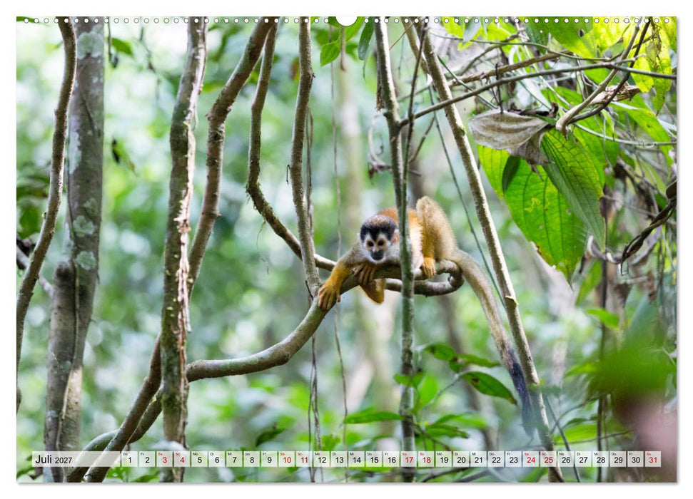 Costa Rica - Tierwelt und Landschaften (CALVENDO Premium Wandkalender 2027)