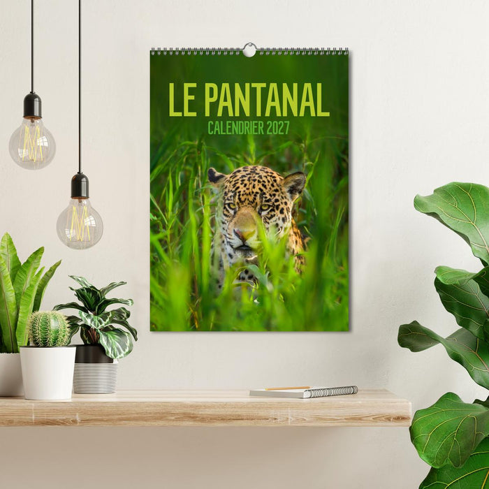Le Pantanal (CALVENDO Calendrier mensuel 2027)