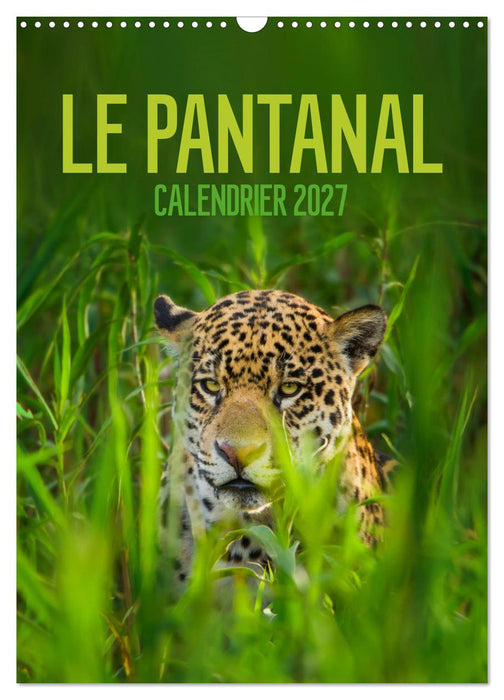 Le Pantanal (CALVENDO Calendrier mensuel 2027)