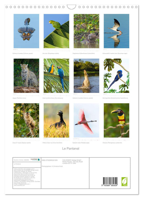 Le Pantanal (CALVENDO Calendrier mensuel 2027)