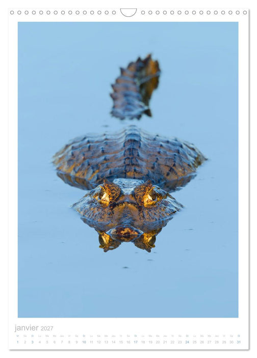 Le Pantanal (CALVENDO Calendrier mensuel 2027)