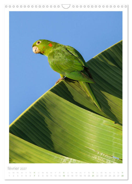 Le Pantanal (CALVENDO Calendrier mensuel 2027)