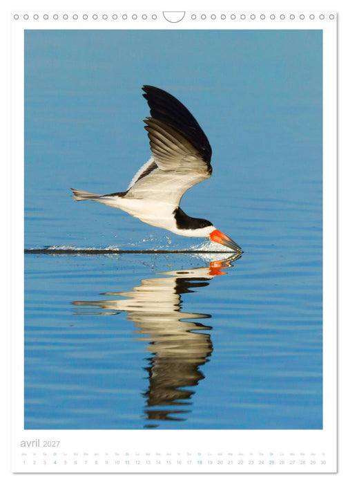 Le Pantanal (CALVENDO Calendrier mensuel 2027)