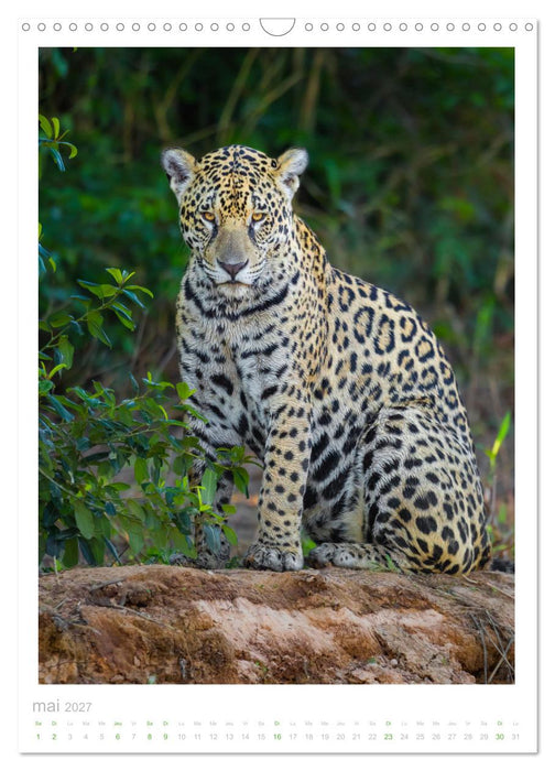 Le Pantanal (CALVENDO Calendrier mensuel 2027)