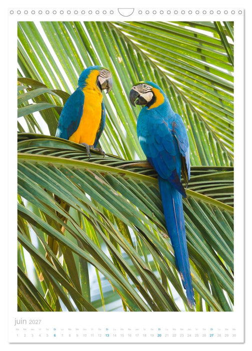 Le Pantanal (CALVENDO Calendrier mensuel 2027)