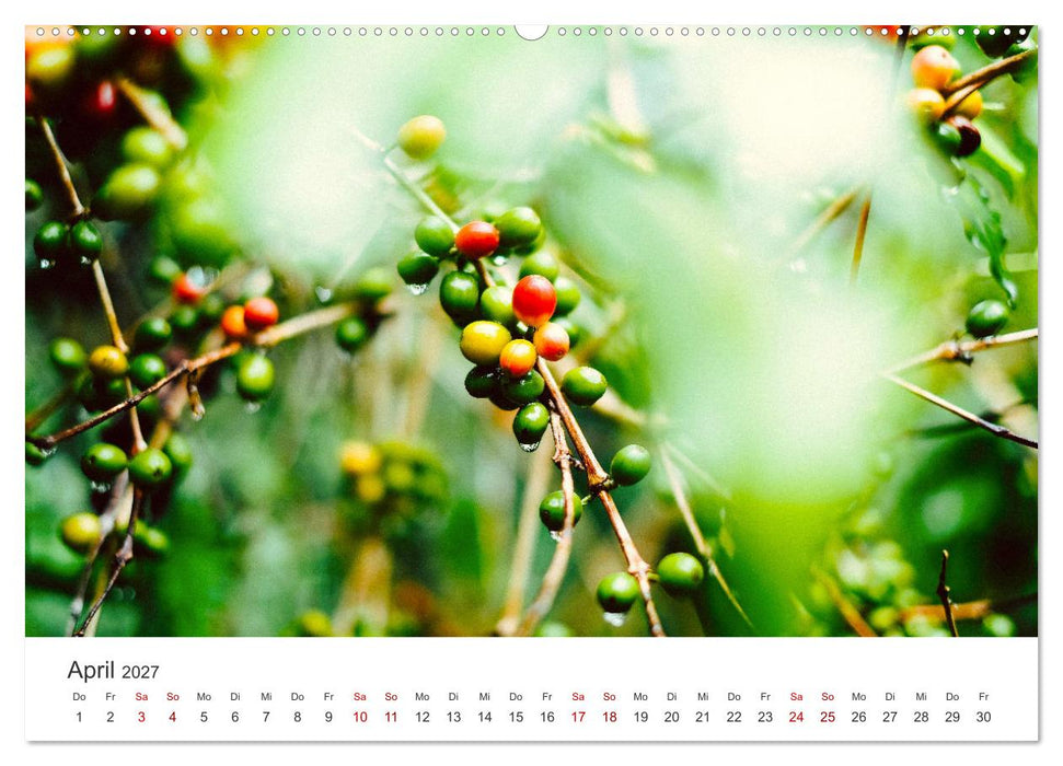 Kunterbuntes Guatemala (CALVENDO Wandkalender 2027)