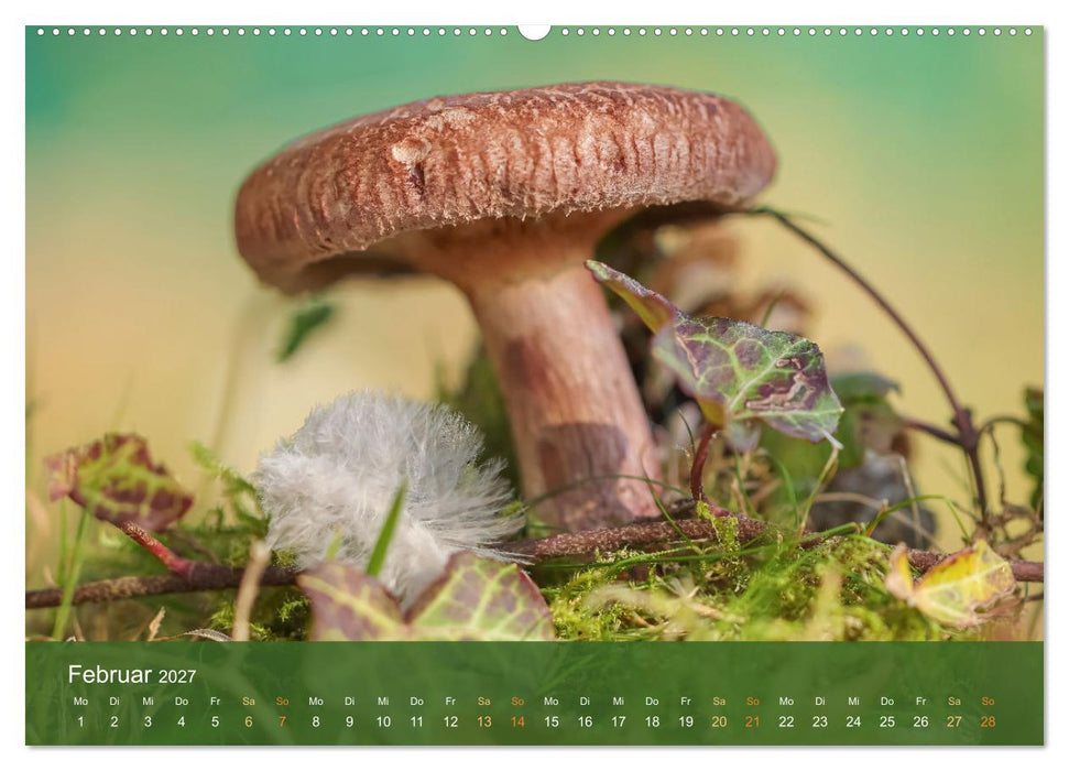 Die magische Welt der Pilze (CALVENDO Premium Wandkalender 2027)
