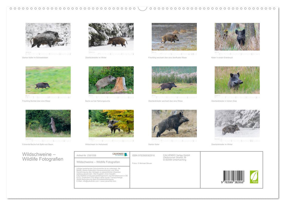 Wildschweine – Wildlife Fotografien (CALVENDO Premium Wandkalender 2027)