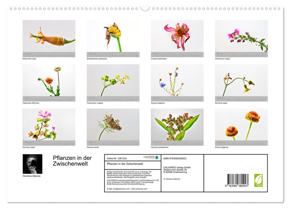 Pflanzen in der Zwischenwelt (CALVENDO Premium Wandkalender 2027)