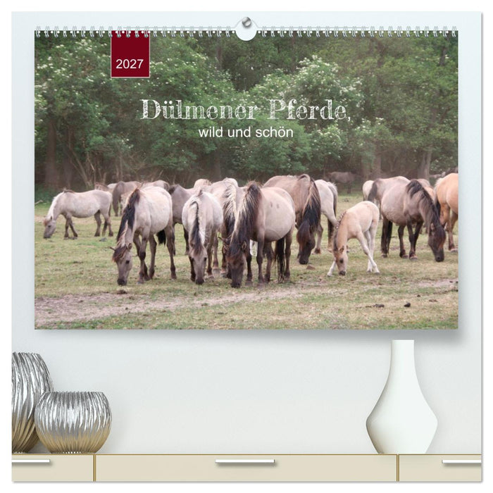 Dülmener Pferde, wild und schön (CALVENDO Premium Wandkalender 2027)