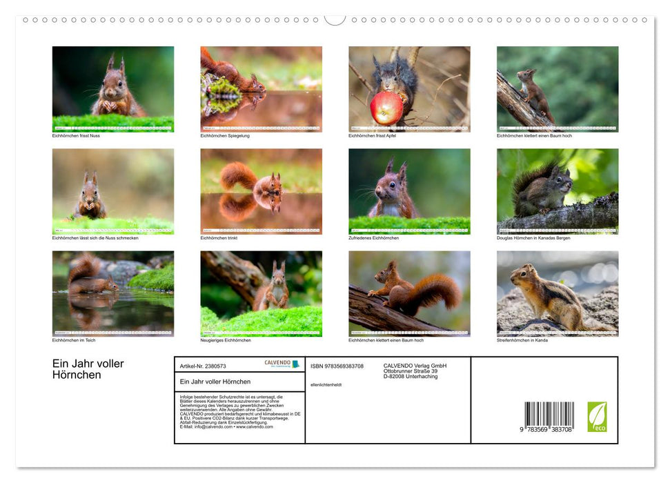 Ein Jahr voller Hörnchen (CALVENDO Premium Wandkalender 2027)