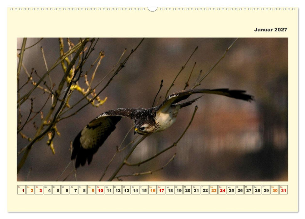 Tierwelt der Wümmeniederung (CALVENDO Wandkalender 2027)