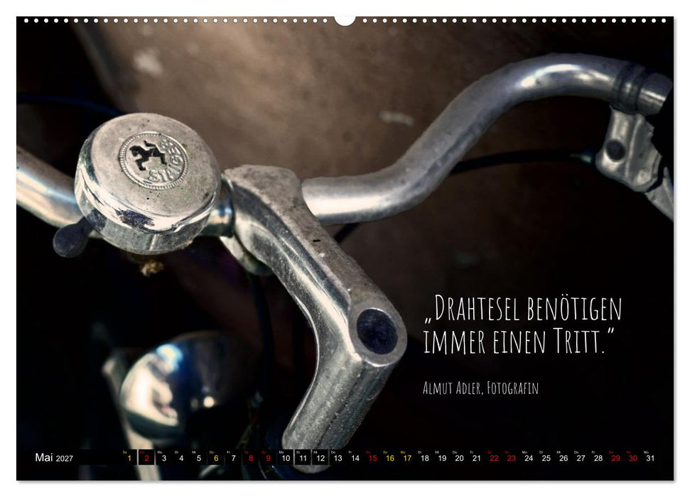 Velo Kunst (CALVENDO Wandkalender 2027)