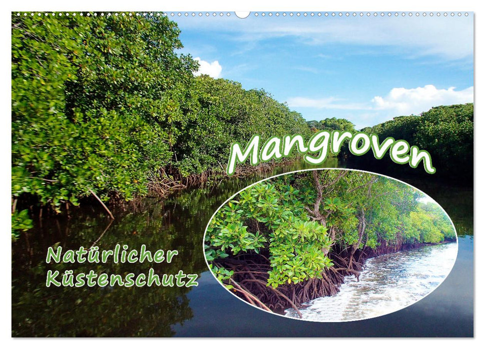 Mangroven - Natürlicher Küstenschutz (CALVENDO Wandkalender 2027)