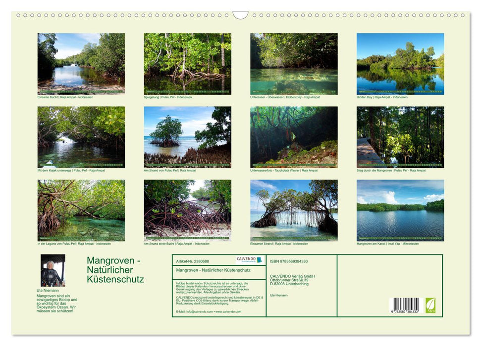 Mangroven - Natürlicher Küstenschutz (CALVENDO Wandkalender 2027)