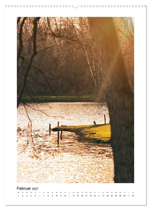 Mein Steinertsee (CALVENDO Premium Wandkalender 2027)