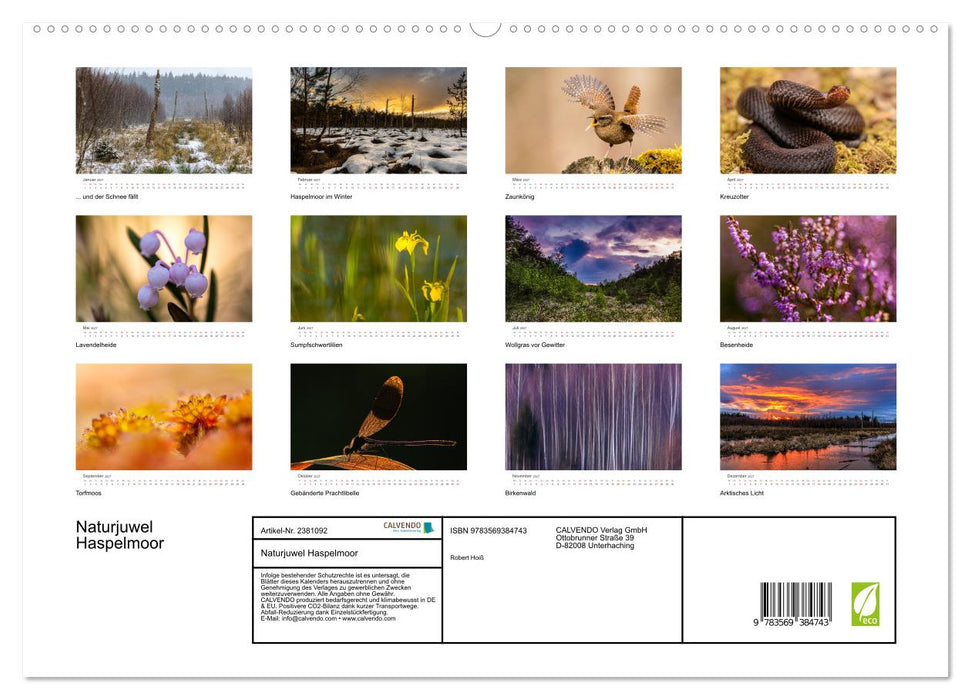 Naturjuwel Haspelmoor (CALVENDO Premium Wandkalender 2027)