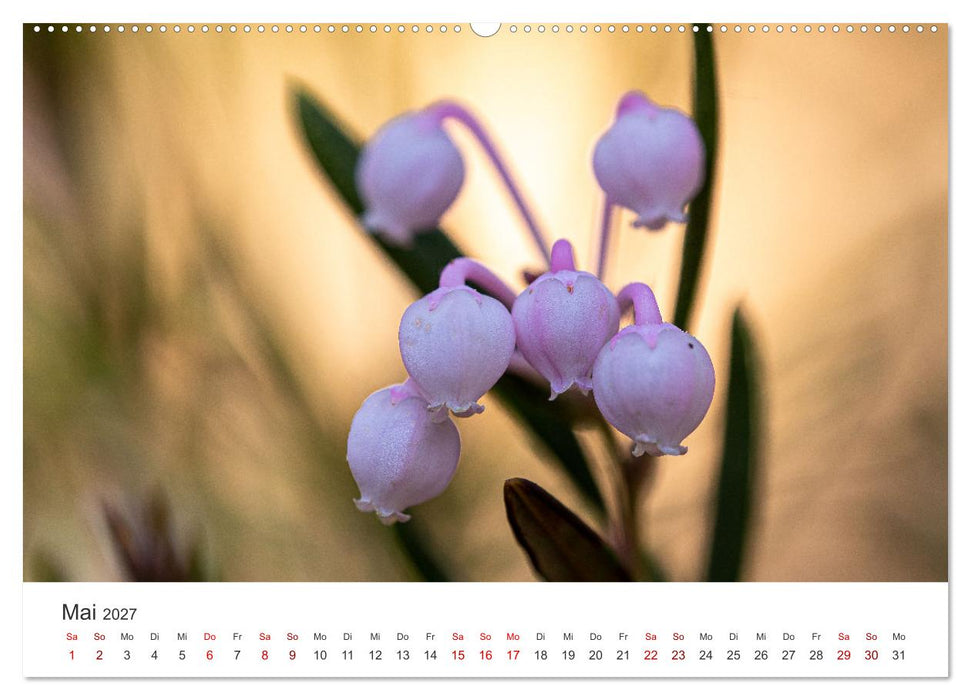 Naturjuwel Haspelmoor (CALVENDO Premium Wandkalender 2027)