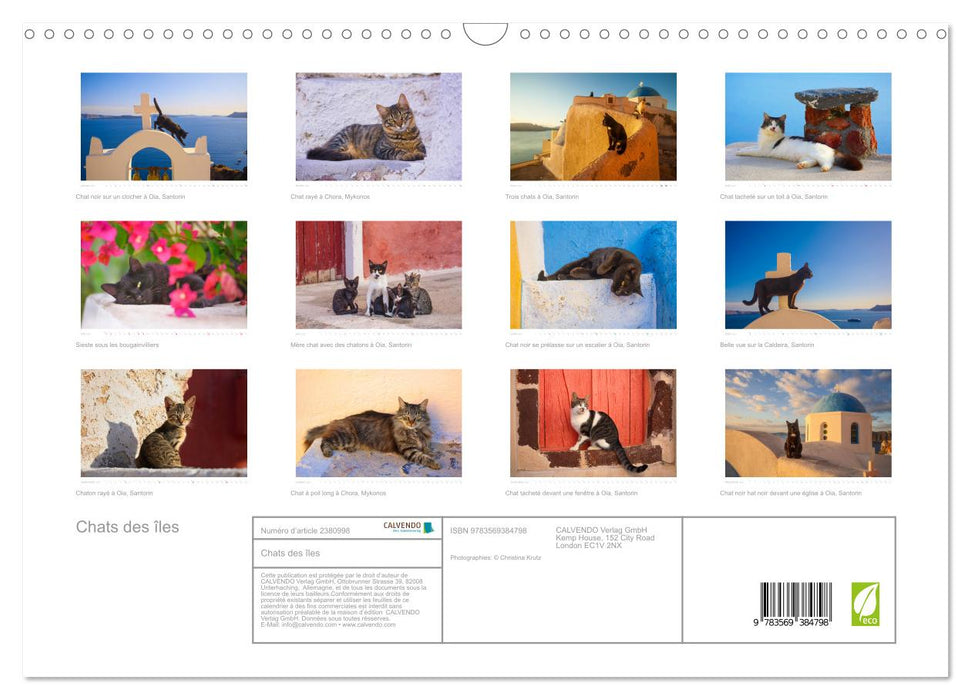 Chats des îles (CALVENDO Calendrier mensuel 2027)