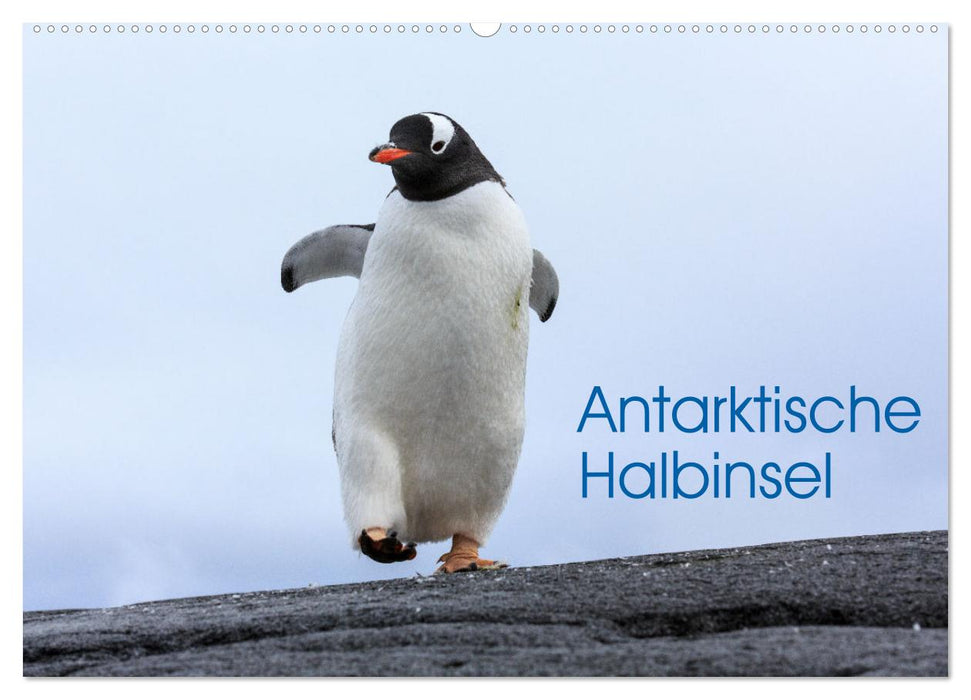 Antarktische Halbinsel (CALVENDO Wandkalender 2027)