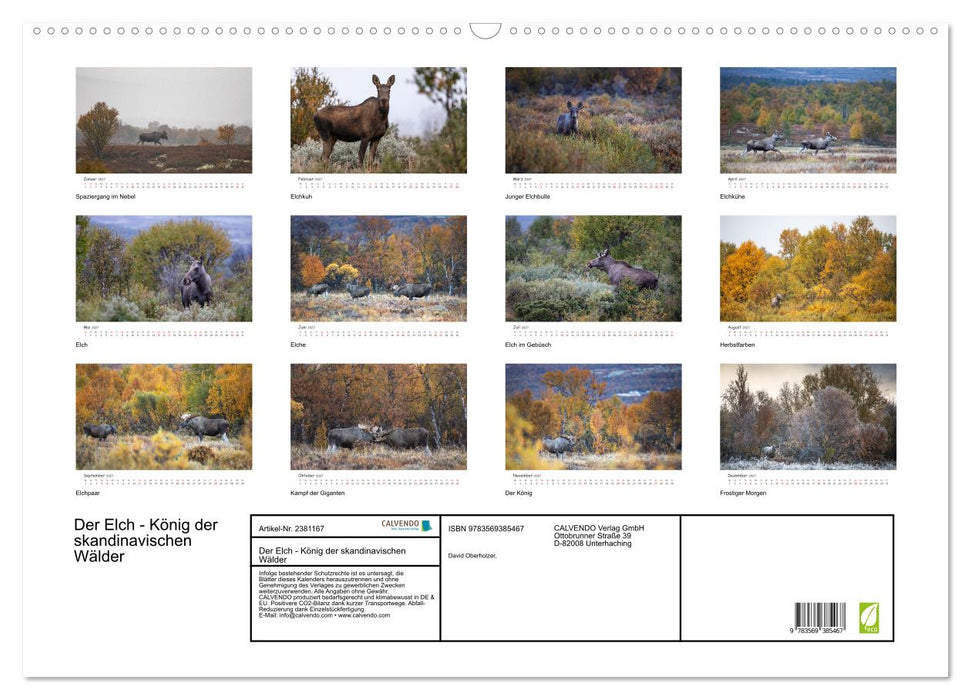 Der Elch - König der skandinavischen Wälder (CALVENDO Wandkalender 2027)