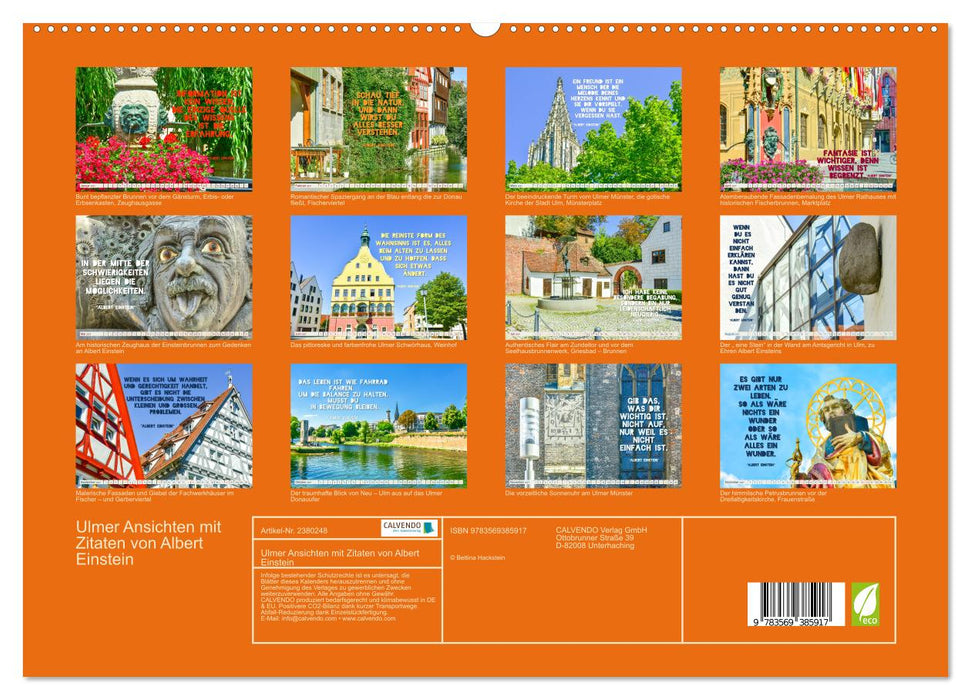 Ulmer Ansichten mit Zitaten von Albert Einstein (CALVENDO Premium Wandkalender 2027)