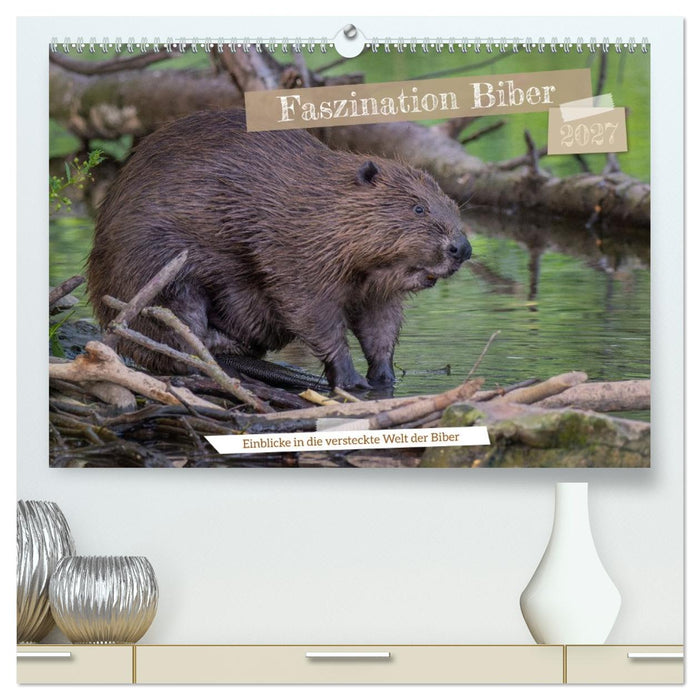 Faszination Biber (CALVENDO Premium Wandkalender 2027)