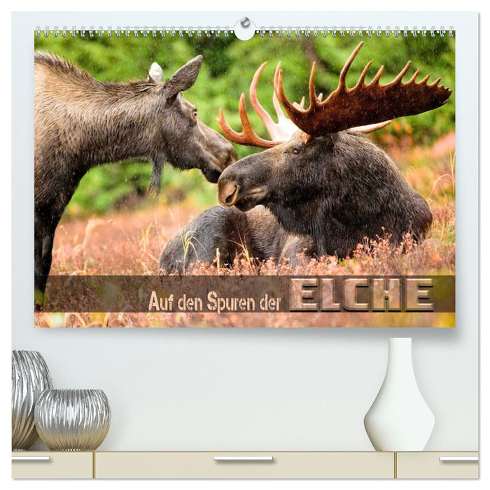 Auf den Spuren der Elche (CALVENDO Premium Wandkalender 2027)