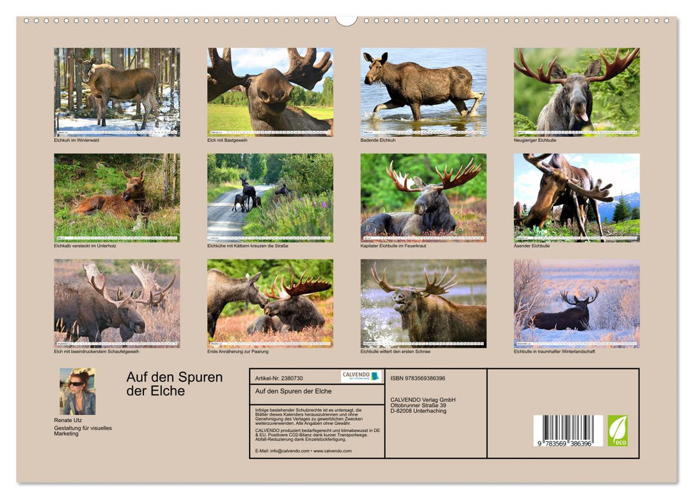 Auf den Spuren der Elche (CALVENDO Premium Wandkalender 2027)
