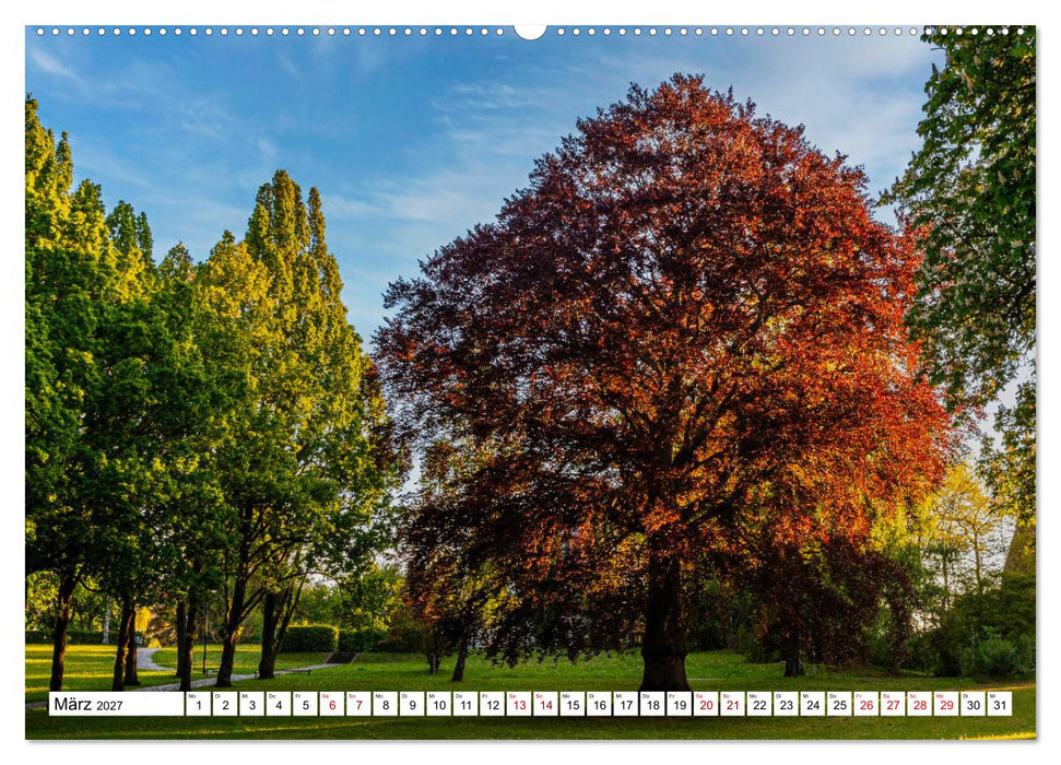 Heilbad Heiligenstadt Stadtansichten (CALVENDO Premium Wandkalender 2027)