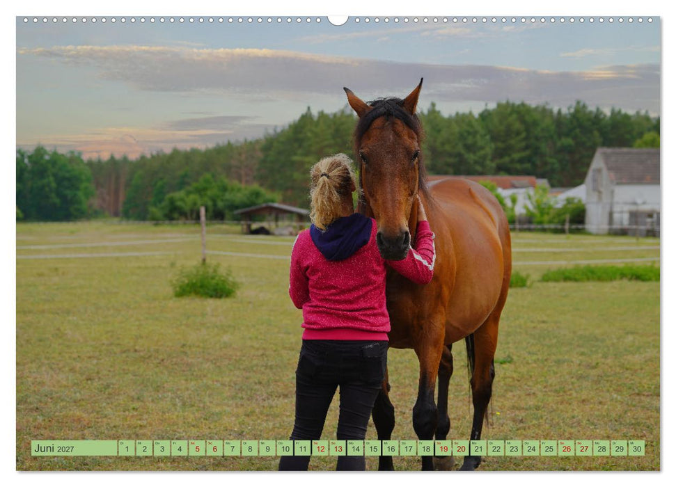Faszination Trakehner (CALVENDO Wandkalender 2027)