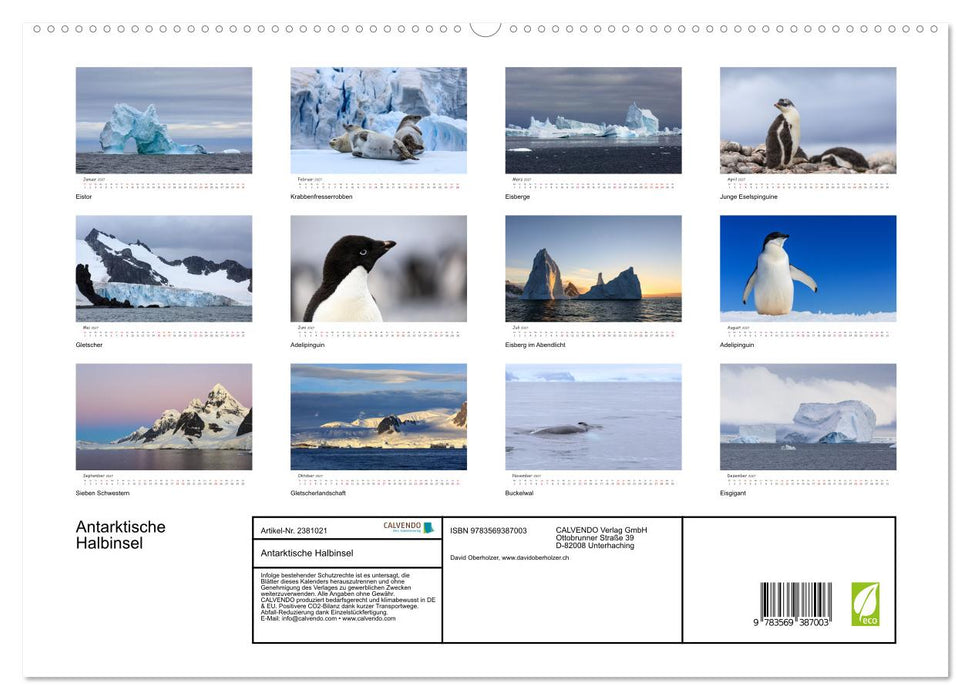 Antarktische Halbinsel (CALVENDO Premium Wandkalender 2027)