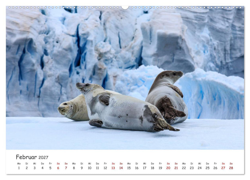 Antarktische Halbinsel (CALVENDO Premium Wandkalender 2027)