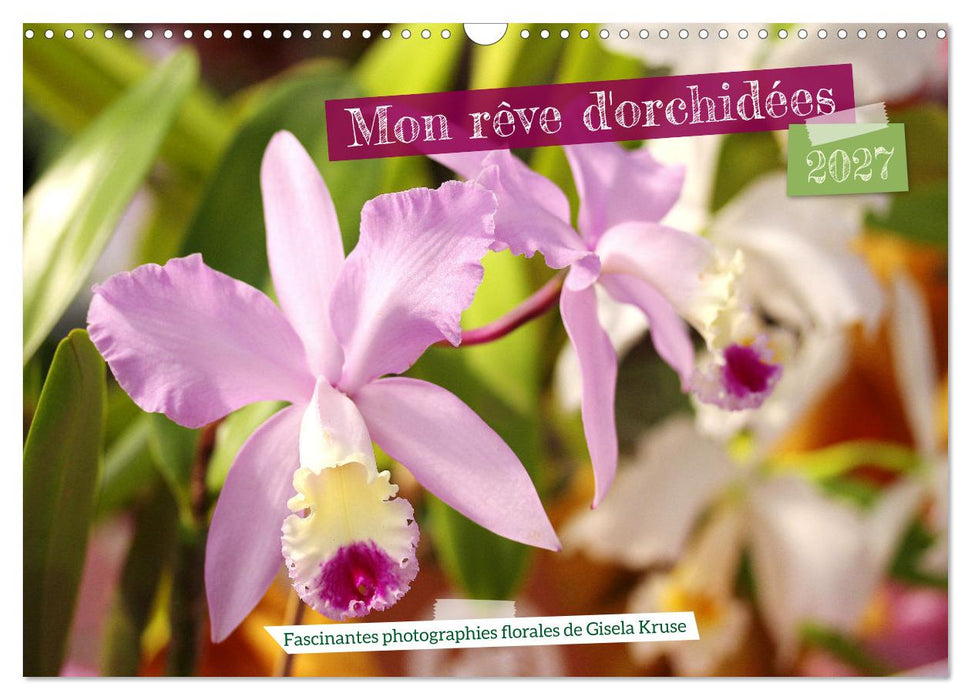 Mon rêve d'orchidées (CALVENDO Calendrier mensuel 2027)
