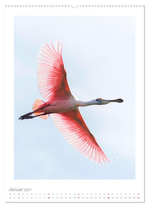 Pantanal – Einzigartiges Wildlife-Paradies (CALVENDO Premium Wandkalender 2027)