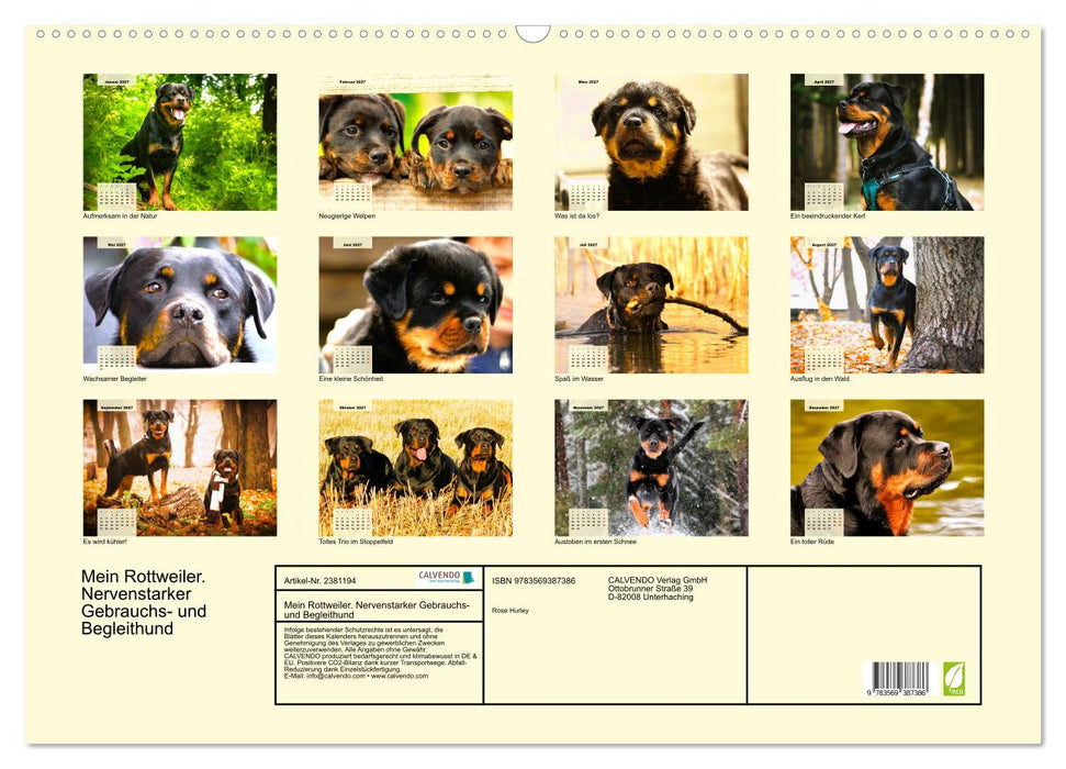 Mein Rottweiler. Nervenstarker Gebrauchs- und Begleithund (CALVENDO Wandkalender 2027)