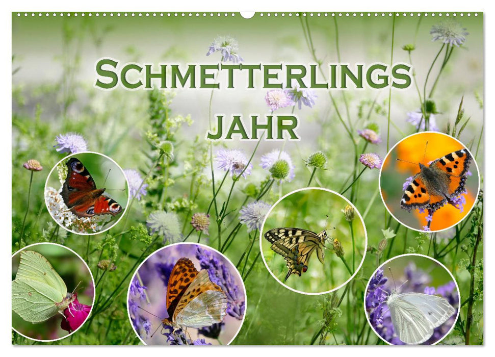 Schmetterlingsjahr (CALVENDO Wandkalender 2027)