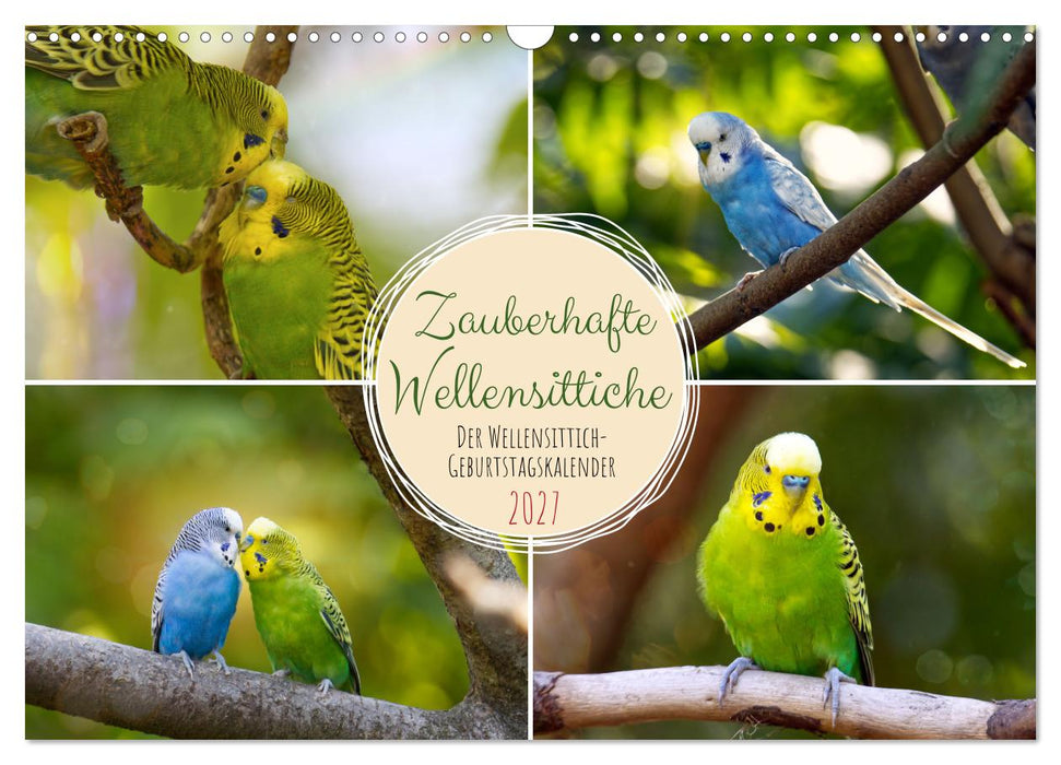 Zauberhafte Wellensittiche (CALVENDO Wandkalender 2027)