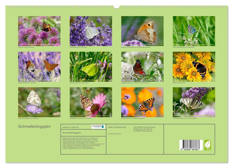 Schmetterlingsjahr (CALVENDO Premium Wandkalender 2027)