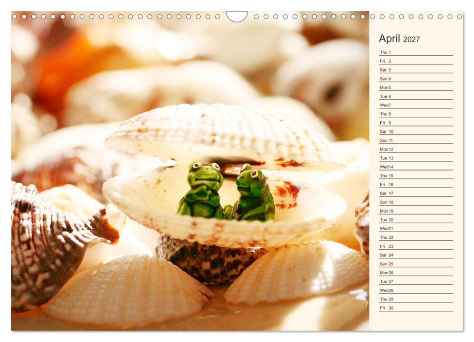 Shells, Stones and Sand (CALVENDO Monthly Calendar 2027)