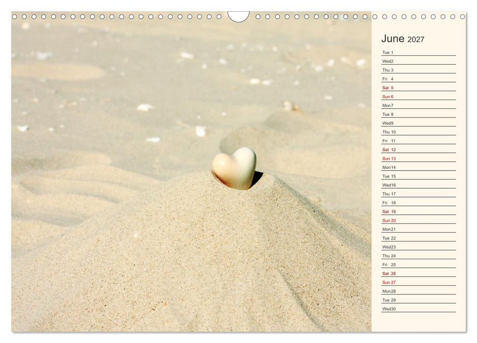 Shells, Stones and Sand (CALVENDO Monthly Calendar 2027)