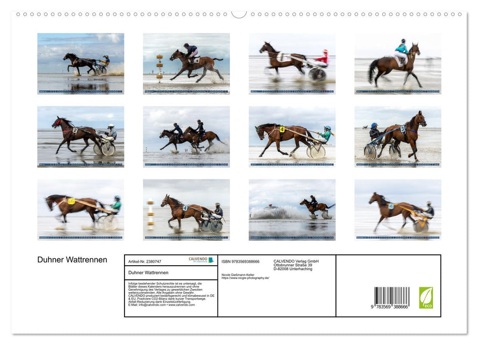 Duhner Wattrennen (CALVENDO Premium Wandkalender 2027)