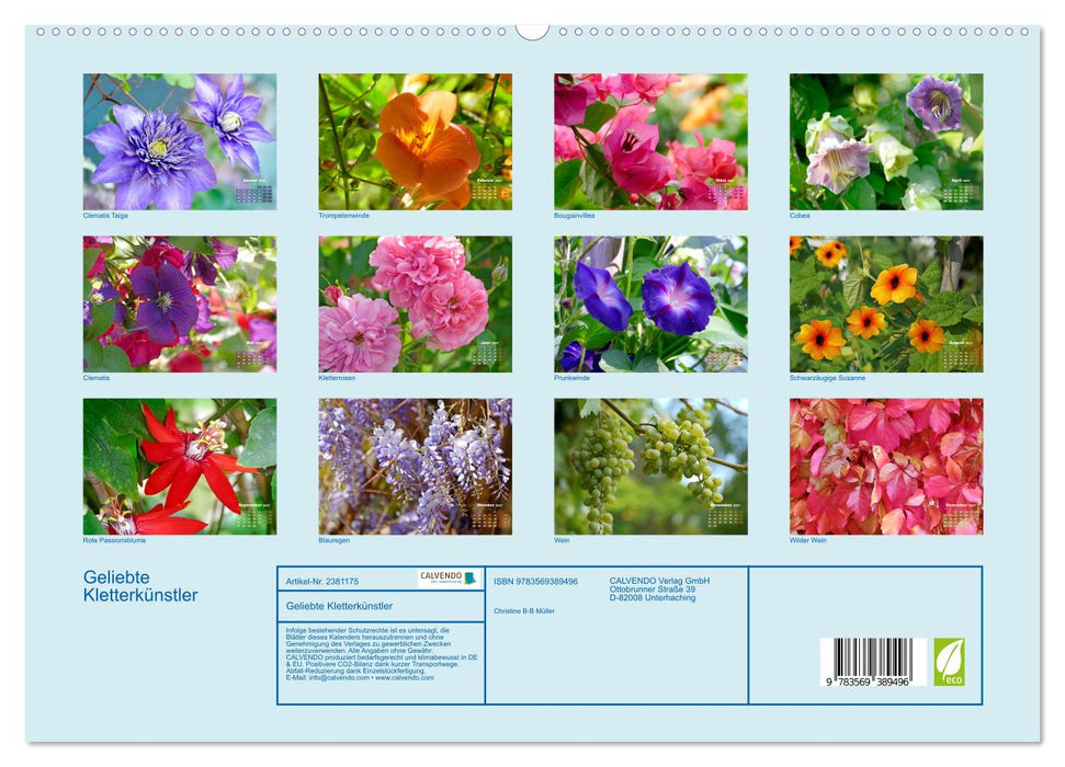 Geliebte Kletterkünstler (CALVENDO Premium Wandkalender 2027)