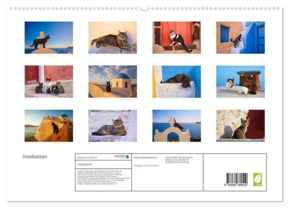 Inselkatzen (CALVENDO Premium Wandkalender 2027)